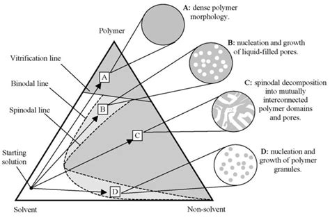 Isothermal phase diagram of a hypothetical polymer, solvent and... | Download Scientific Diagram