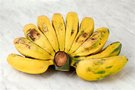 Pisang Goreng Kepok Kuning Pisang Kepok Deskripsi Macam Macam Pohon | Porn Sex Picture