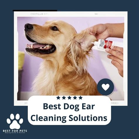 The 12 Best Dog Ear Cleaning Solutions - BestForPets.org