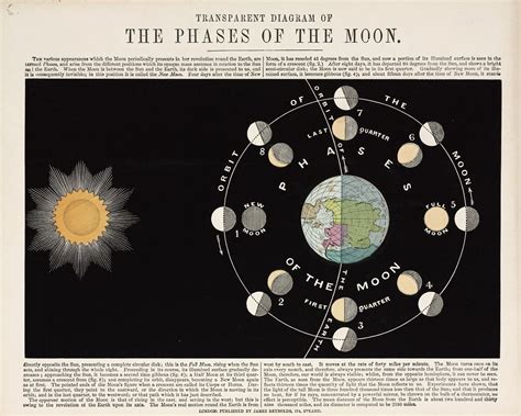 Transparent Diagram of The Phases of the Moon. 1860. | Moon phases, Diagram, Scientific illustration