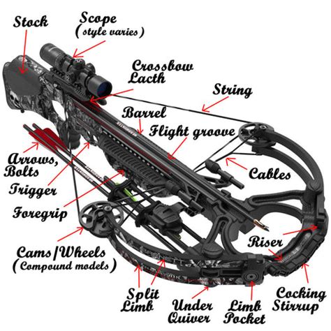 Different types of Crossbow - Hunting Bow