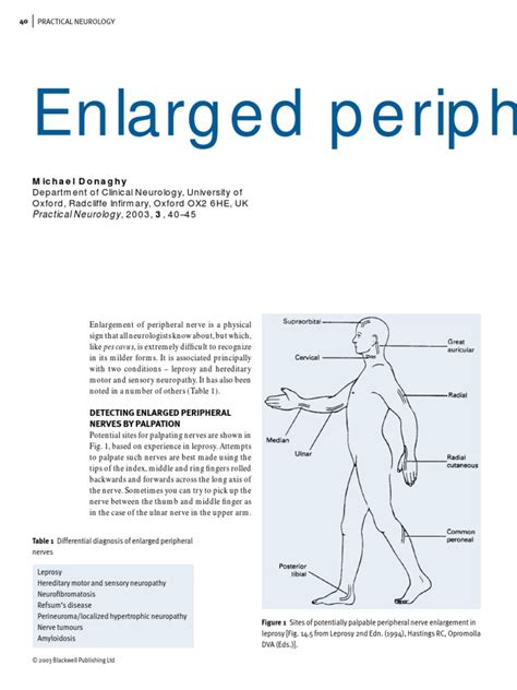 Enlarged Peripheral Nerves On Leprosy | PDF | Peripheral Neuropathy | Leprosy