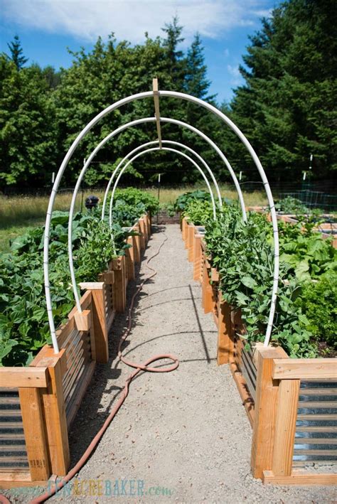 DIY Vegetable Garden Trellis using PVC and Wire | Ten Acre Baker