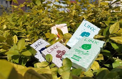 Linx pod system starter kit review - One-third price of RELX with 1 device and 2 pods • VAPE HK