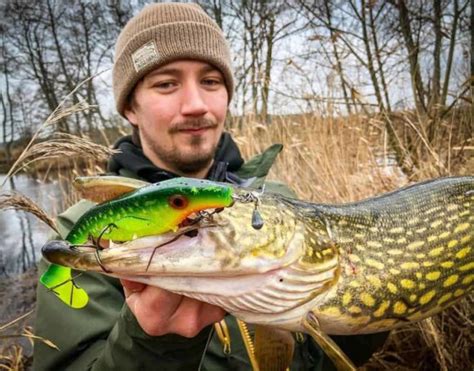 Northern Pike Teeth (Interesting Fish Facts)