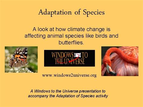 Adaptation of Species A look at how climate