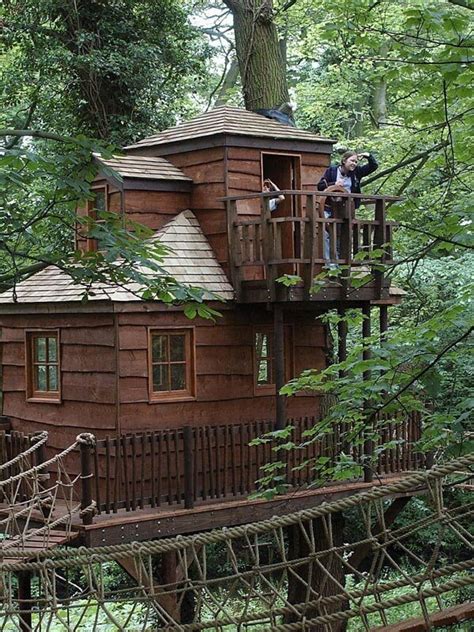 39 Amazing Tree Houses Everyone Wished They Had Growing Up