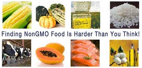 WHY LABELING GMO FOODS MATTER – Organic Principle