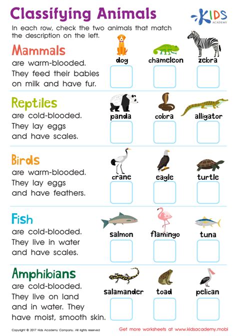 Animal Kingdom Classification Worksheet Kingdom Animal Print