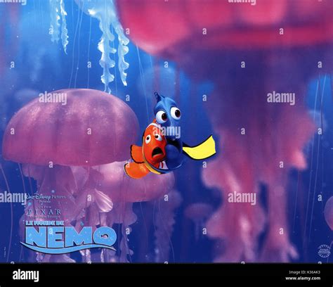 FINDING Nemo, Marlin y Dory entre las medusas por favor crédito Disney ...