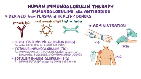 Intravenous Immunoglobulin Ivig Therapy