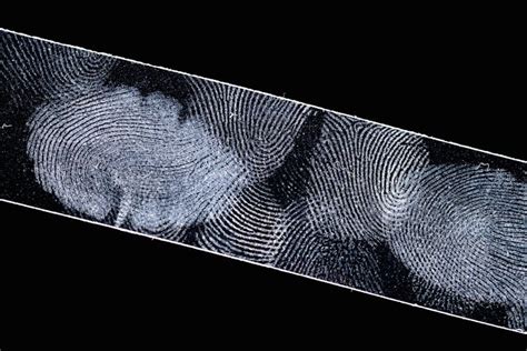 We've discovered a way to recover DNA from fingerprints without ...