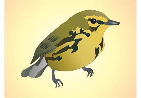 Bird Vector - Download Free Vector Art, Stock Graphics & Images