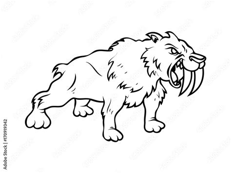 Saber Tooth Tiger Drawing Stock Vector | Adobe Stock