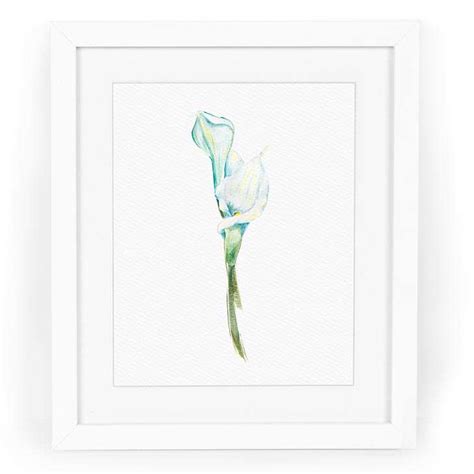 Calla Lilies Watercolor Fine Art Giclee Print — 5x7, 8x10, or 11x14 Floral Painting - CharmCat ...