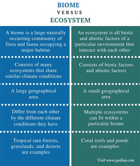 Difference Between Biome and Ecosystem | Definition, Characteristics, Examples