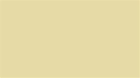 Beige Solid Color Background Image | Free Image Generator