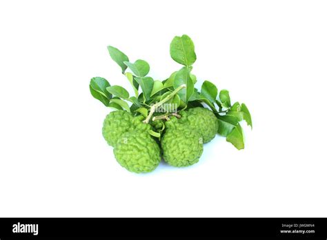 Bergamot fruit on isolated white Stock Photo - Alamy