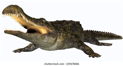 12 Sarcosuchus Imperator Images, Stock Photos, 3D objects, & Vectors | Shutterstock