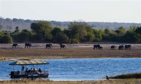 Botswana looks to tourism sector to ‘heal’ the economy – YourBotswana