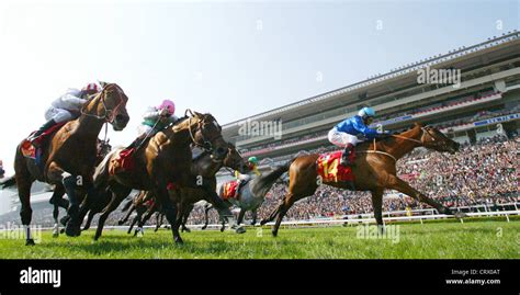 View of Sha Tin Racecourse Stock Photo - Alamy