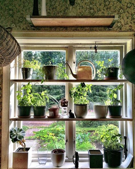 How to Make Your Own Kitchen Window Herb Garden | The Kitchn