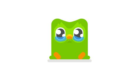 Duolingo redesigned its owl to guilt-trip you even harder - The Verge