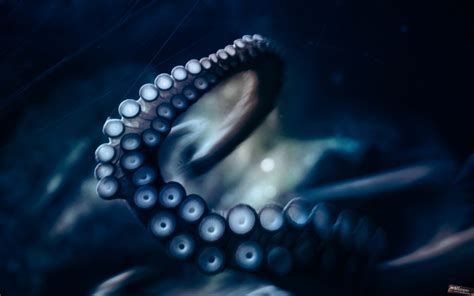 Download Octopus HD 4K Mobile 2020 Desktop 1920x1080 Wallpaper - GetWalls.io