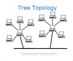 Tree Topology Diagram