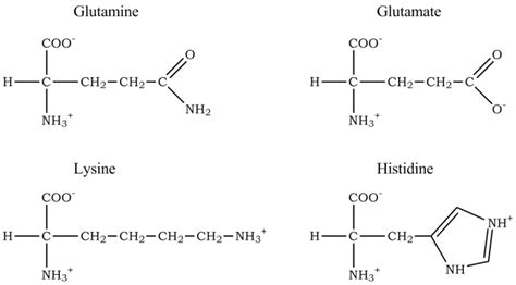 Chromatography Of Amino Acids Lab Report clealucia