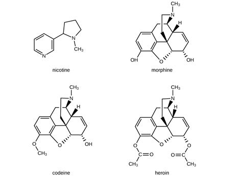 Amines and Amides | Chemistry for Majors