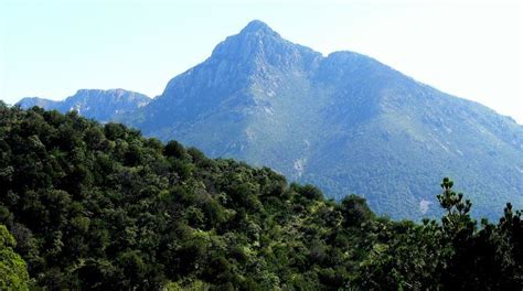 Santa Rita Mountains - Alchetron, The Free Social Encyclopedia