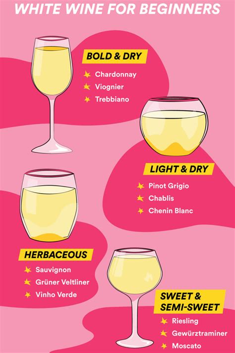 White Wine for Beginners: Everything You Need to Know