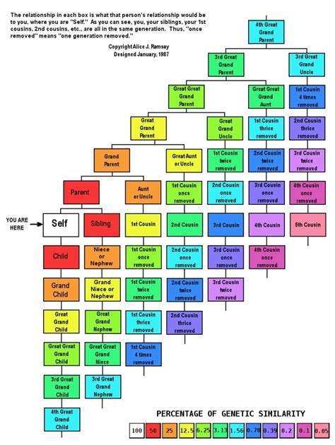 Cousin Relationship Chart | Digging For Ancestors