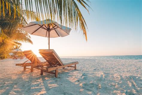 Sunwing Vacations Planning For A Robust 2023-2024 Winter Season - TravelPress