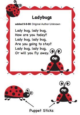 17 Best images about ladybug on Pinterest | Pictures of, Life cycles and Preschool