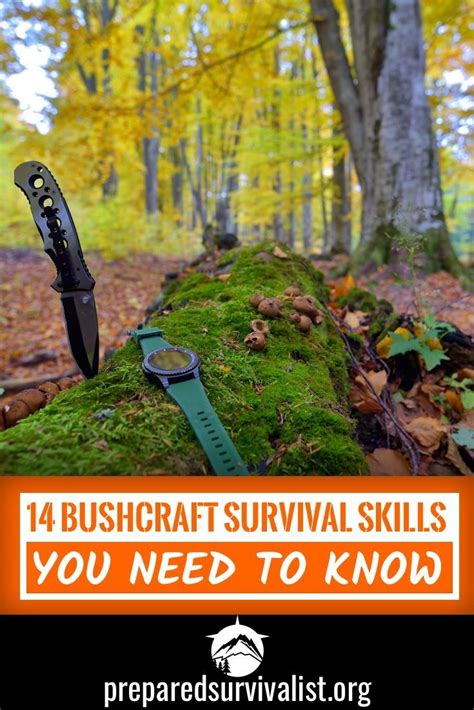 14 bushcraft survival skills you need to know – Artofit