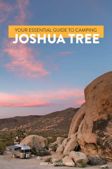 Joshua Tree Camping - What You Need to Know » Local Adventurer