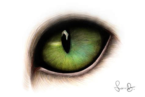 Cat eye by Strawberry-2110 on DeviantArt