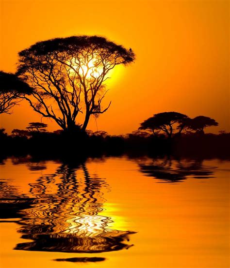 African Sunset With Reflection, Kenya #photography | African sunset ...