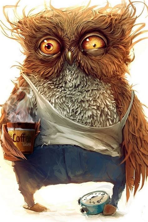 🔥 [30+] Funny Owl Wallpapers | WallpaperSafari