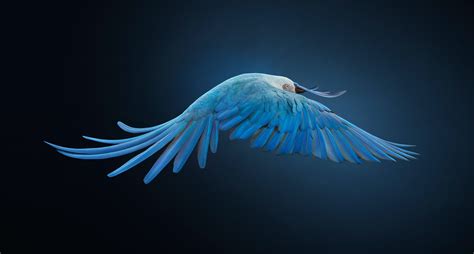 Tim Flach, Spix's Macaw, Side On, Unextinct, 2022 | Echo Fine Arts