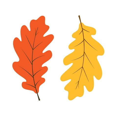 Clipart illustration of oak leaves. Hand drawn vector in warm colours. Design for Autumn ...