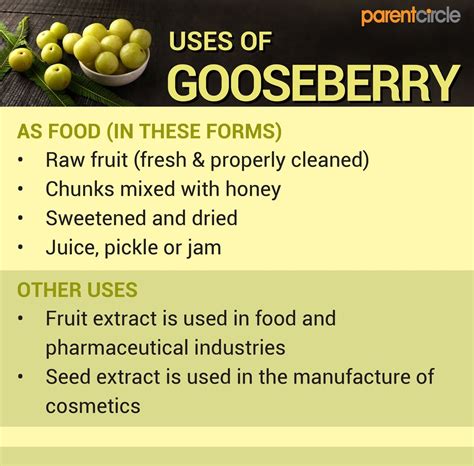 Gooseberry Health Benefits, Medicinal Uses, Nutrition Value and Calories - Parentcircle