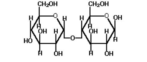 Maltose Structure Diagram