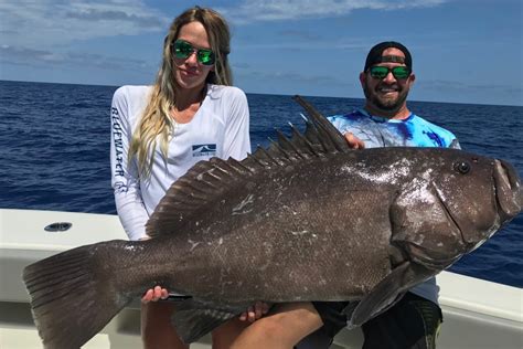 Snapper vs. Grouper: A Beginner’s Guide