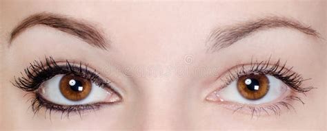 Sapphire-blue eyes stock photo. Image of colour, lenses - 4334770