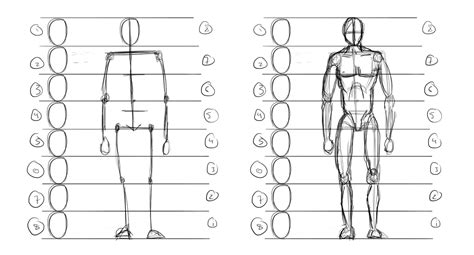 Drawing Human Proportions Tutorial