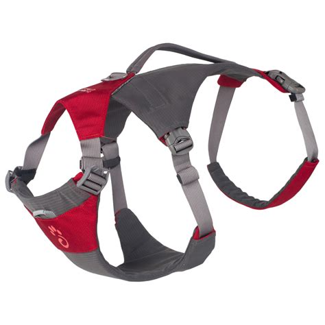 Mountain Paws Dog Hiking Harness - Dog harness | Buy online | Bergfreunde.eu