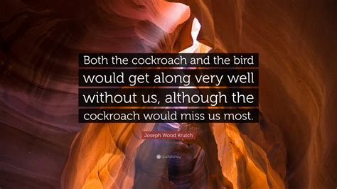 Joseph Wood Krutch Quote: “Both the cockroach and the bird would get ...